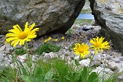 77 Il lago si intravede tra i pietroni